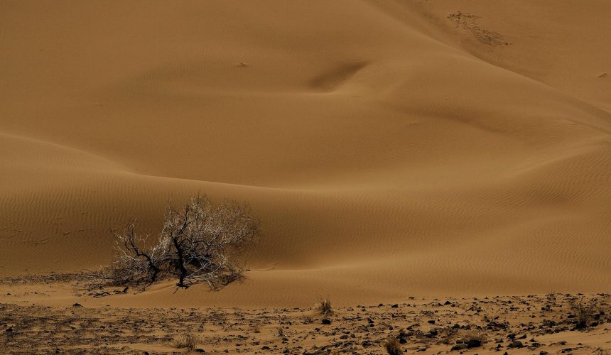 Esfuérzate y Sé Valiente: La Orden de Dios a Josué Esfuérzate y Sé Valiente: La Orden de Dios a Josué
