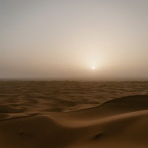 Experiencias del Desierto